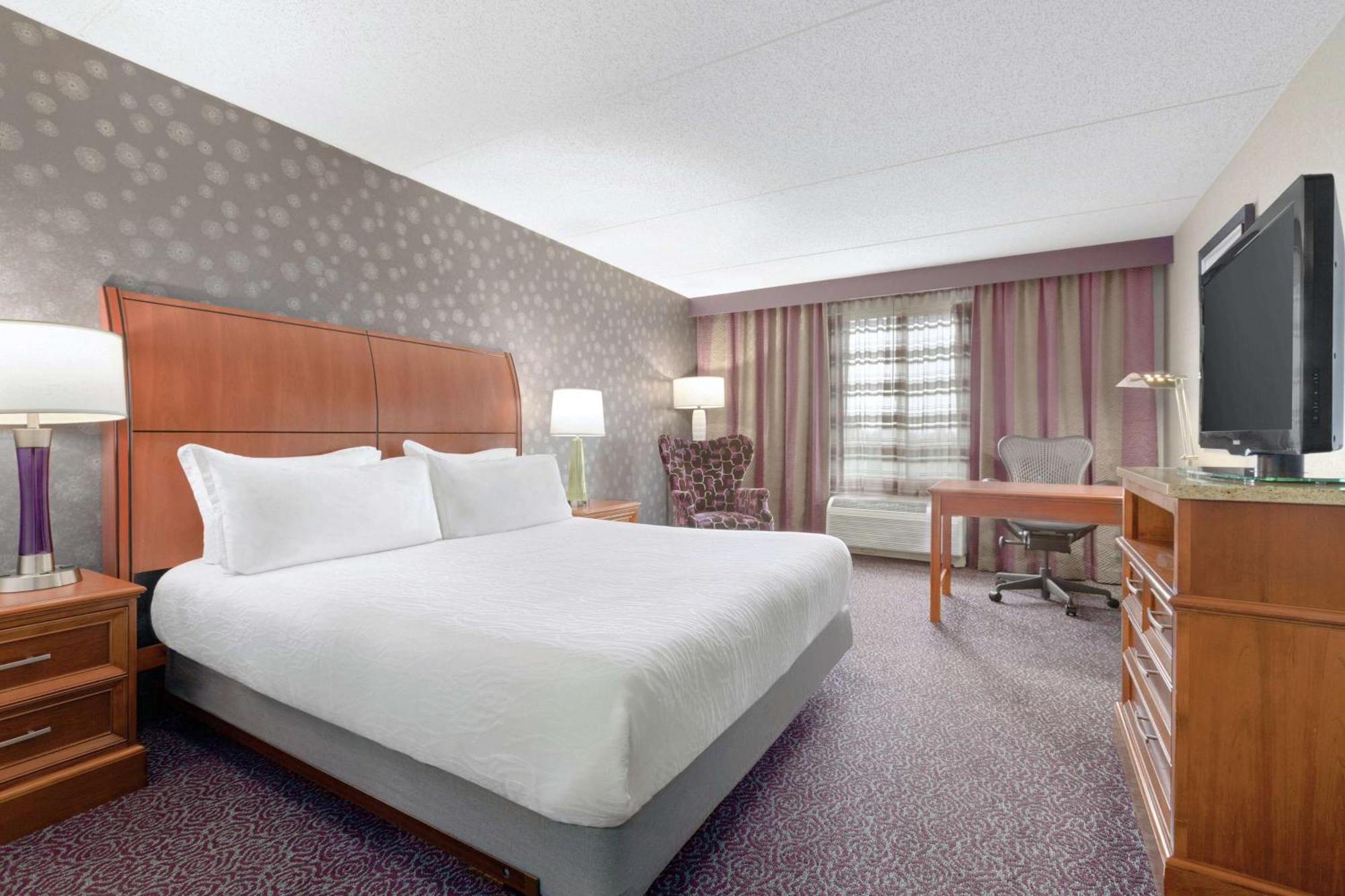 Hilton Garden Inn Springfield, Ma Exterior photo